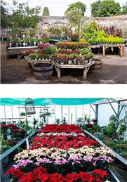 Englefield Garden Centre